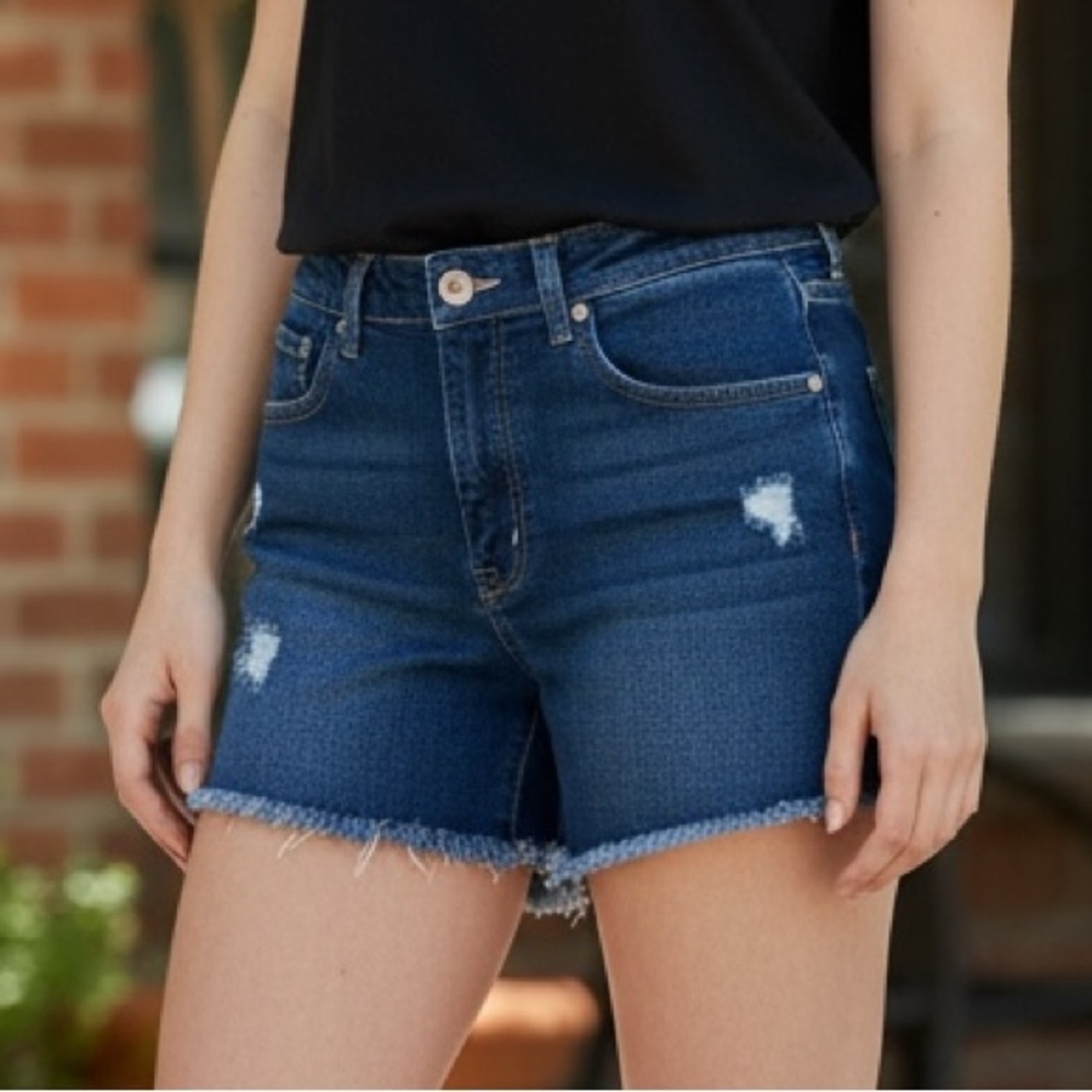 Levi's Blue Denim Relaxed Fit 550 Shorts